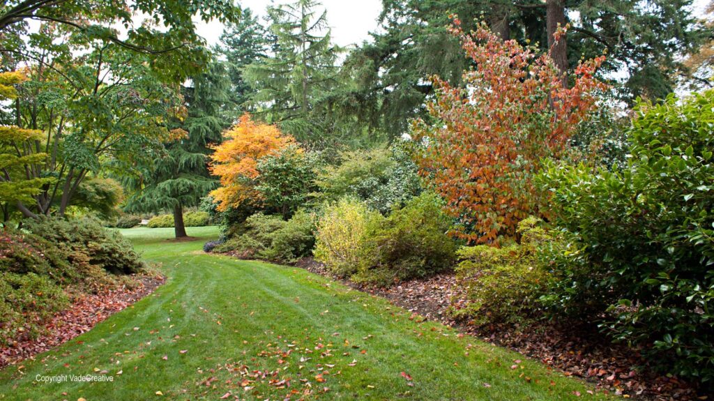 Van Dusen Botanical Garden