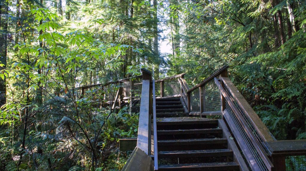 Capilano River Park