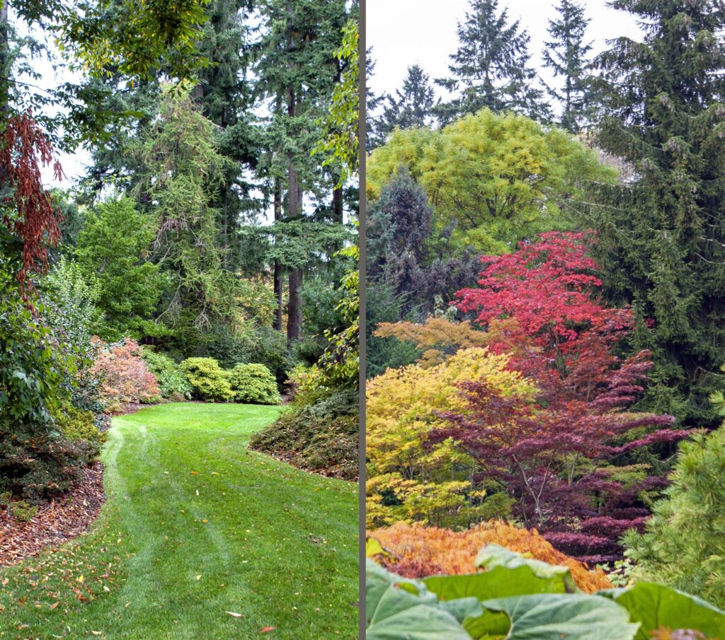 VanDusen Botanical Garden